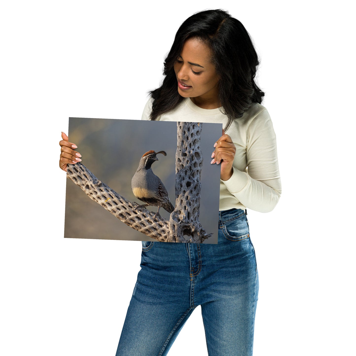 Quail on Cholla by Leslie Leathers Photography | Poster