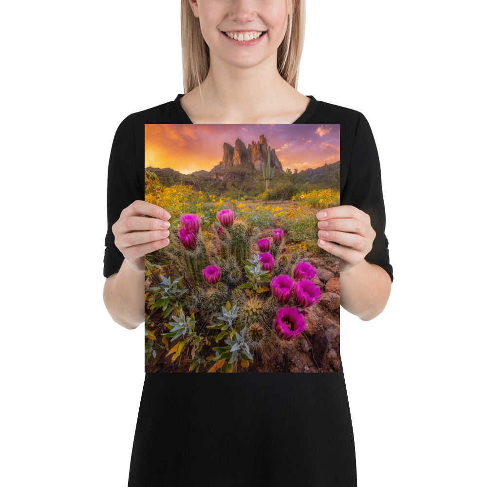 Sonoran Bloom by Sean Parker Photography | Poster