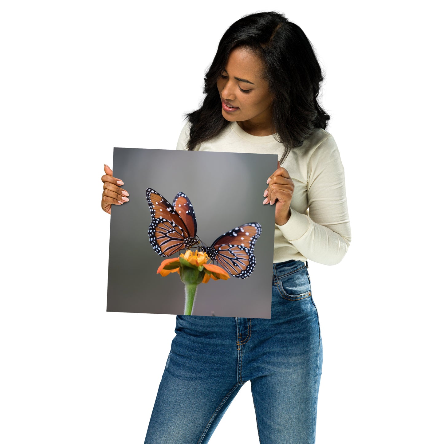 Queen Butterflies by Leslie Leathers Photography | Poster