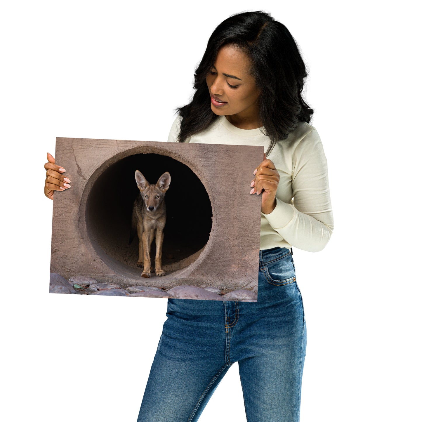 Juvenile Coyote by Leslie Leathers Photography | Poster