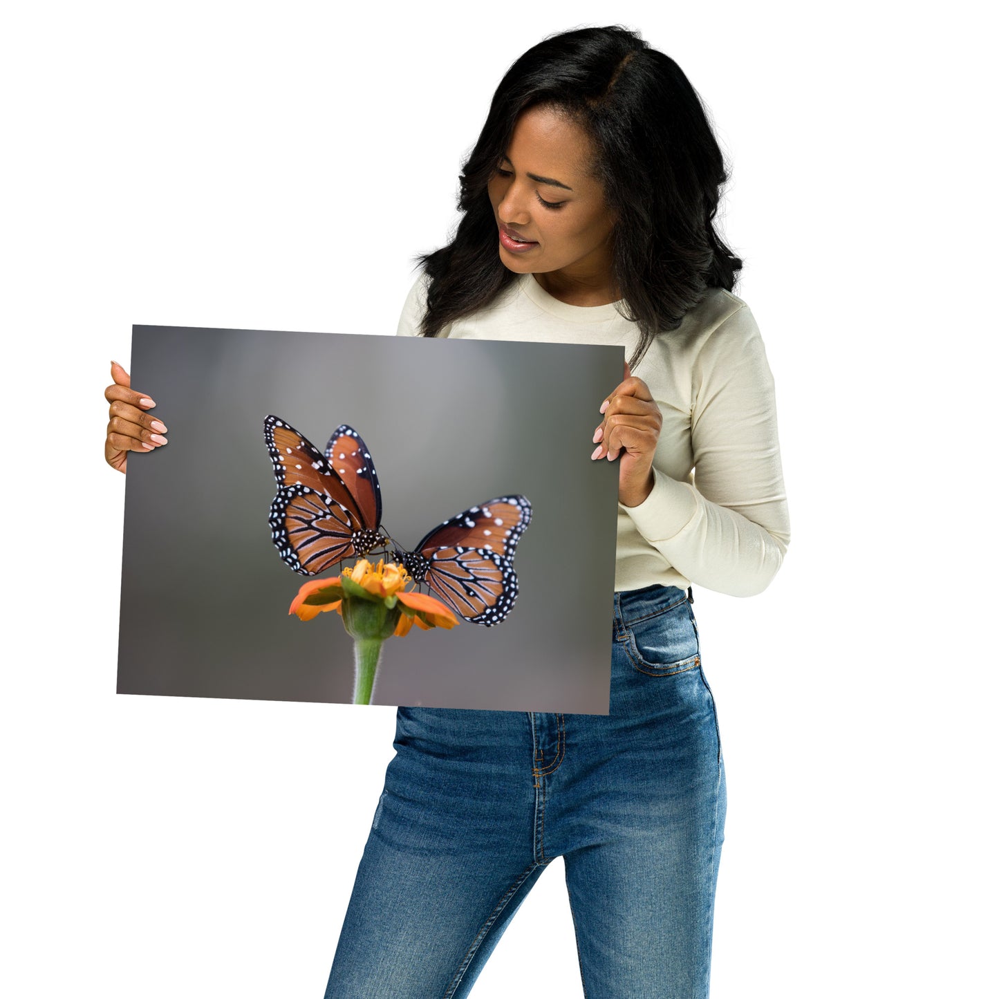 Queen Butterflies by Leslie Leathers Photography | Poster