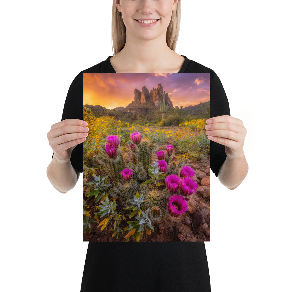 Sonoran Bloom by Sean Parker Photography | Poster