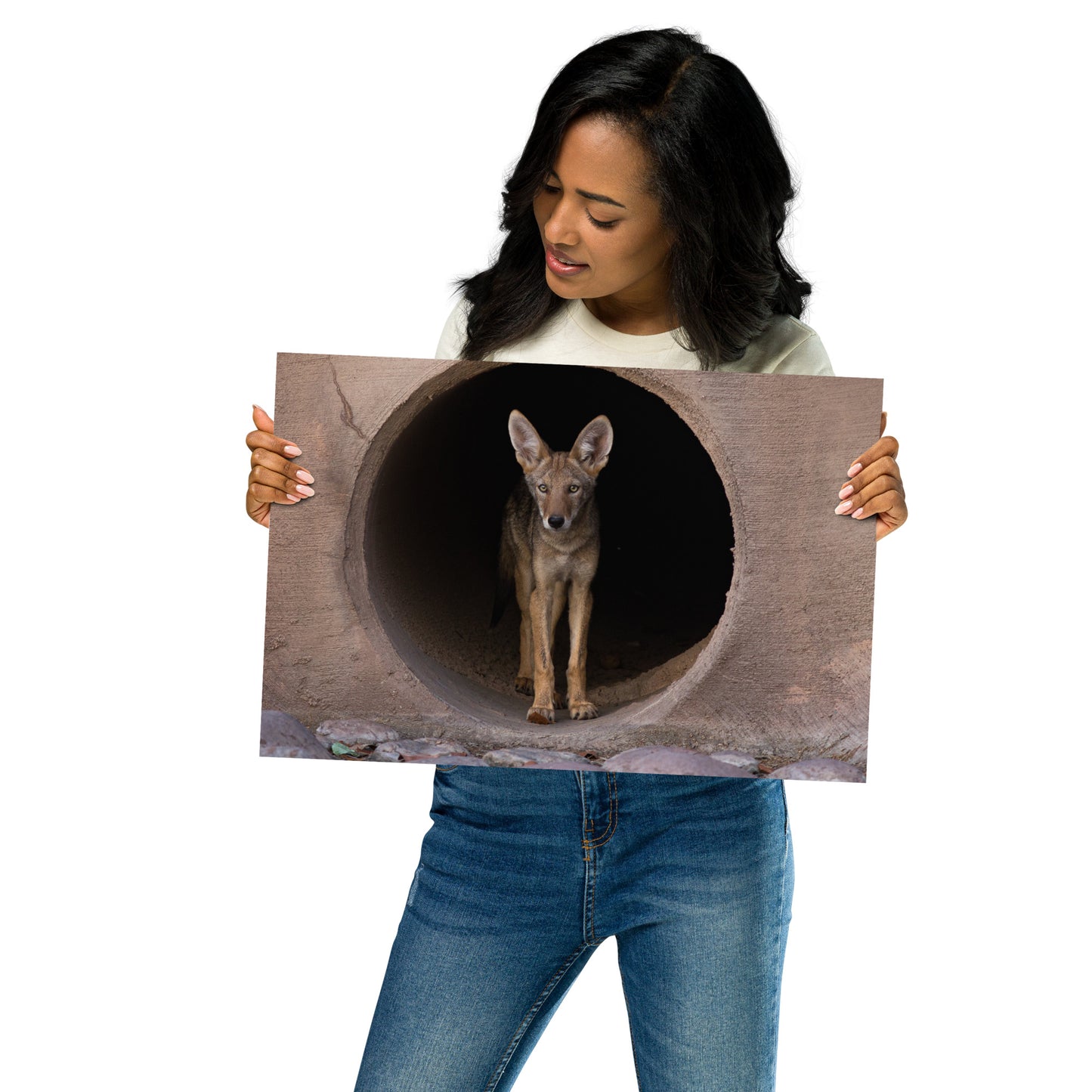 Juvenile Coyote by Leslie Leathers Photography | Poster