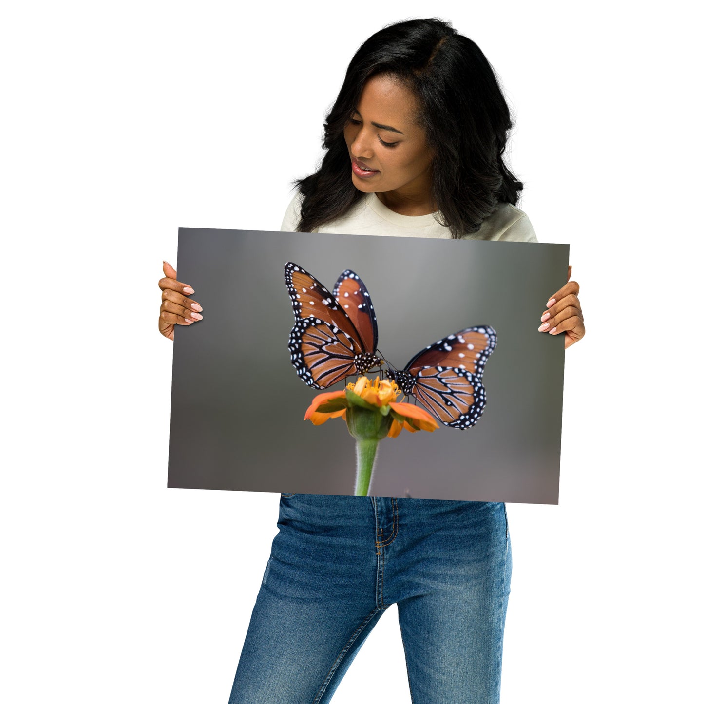 Queen Butterflies by Leslie Leathers Photography | Poster