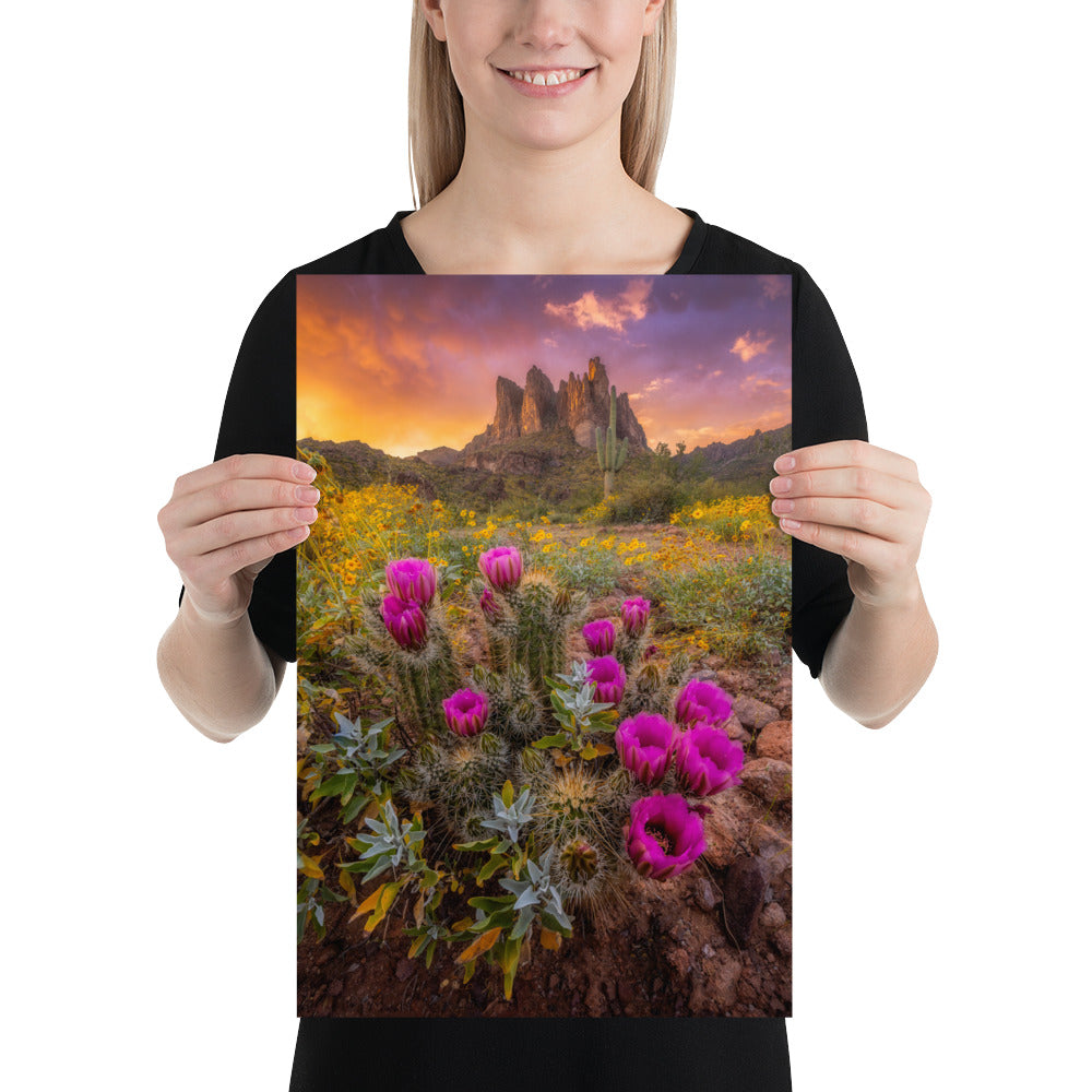 Sonoran Bloom by Sean Parker Photography | Poster