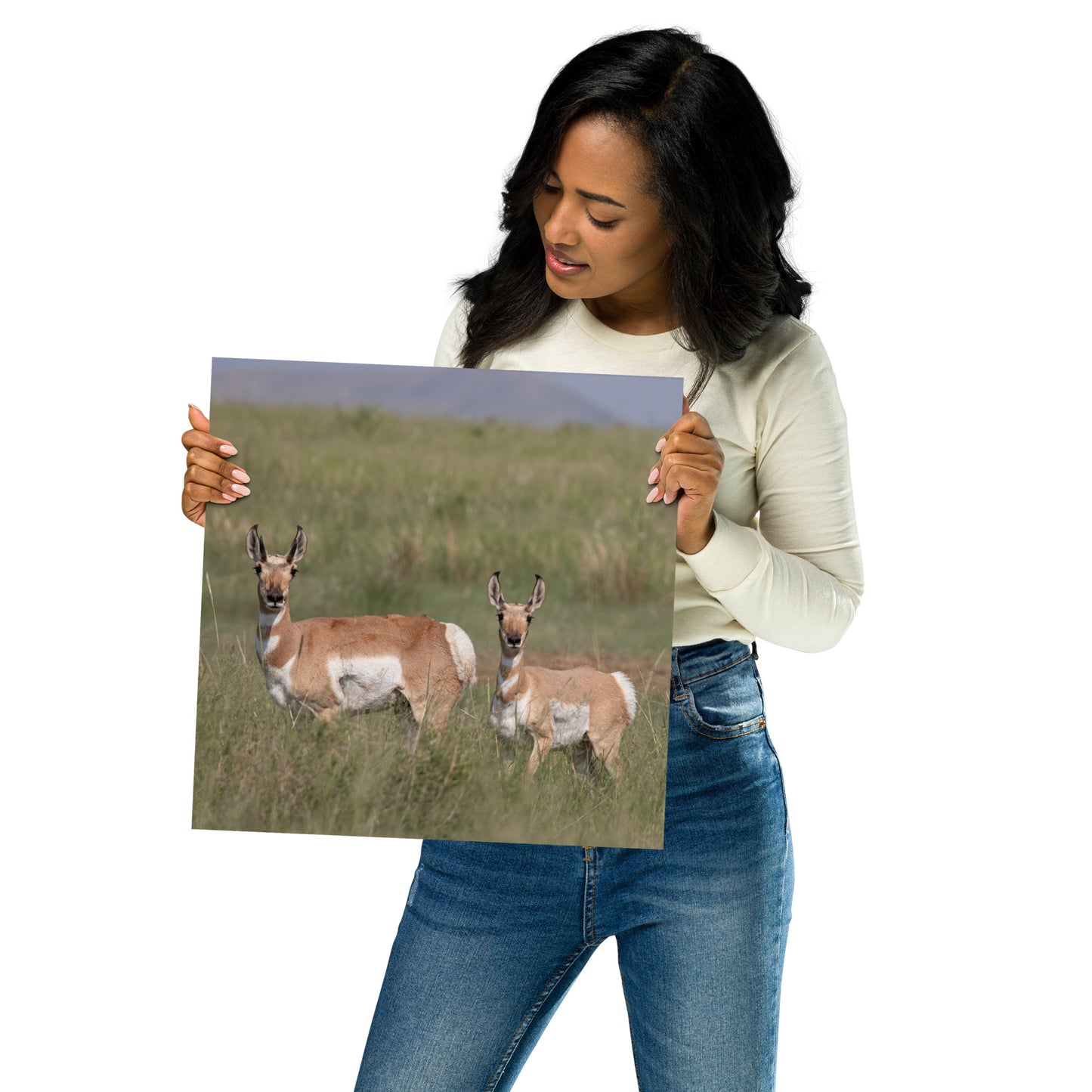 Pronghorn by Leslie Leathers Photography | Poster