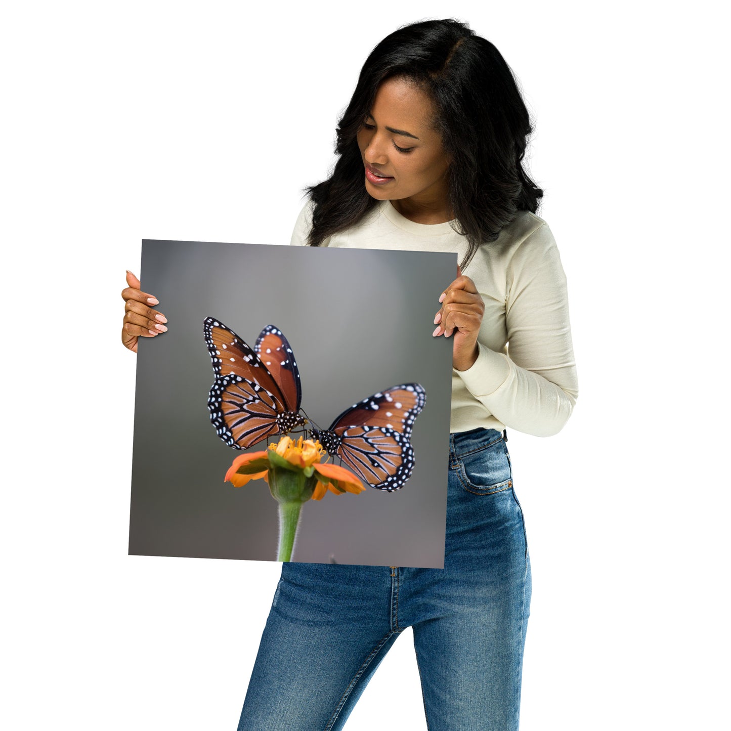 Queen Butterflies by Leslie Leathers Photography | Poster