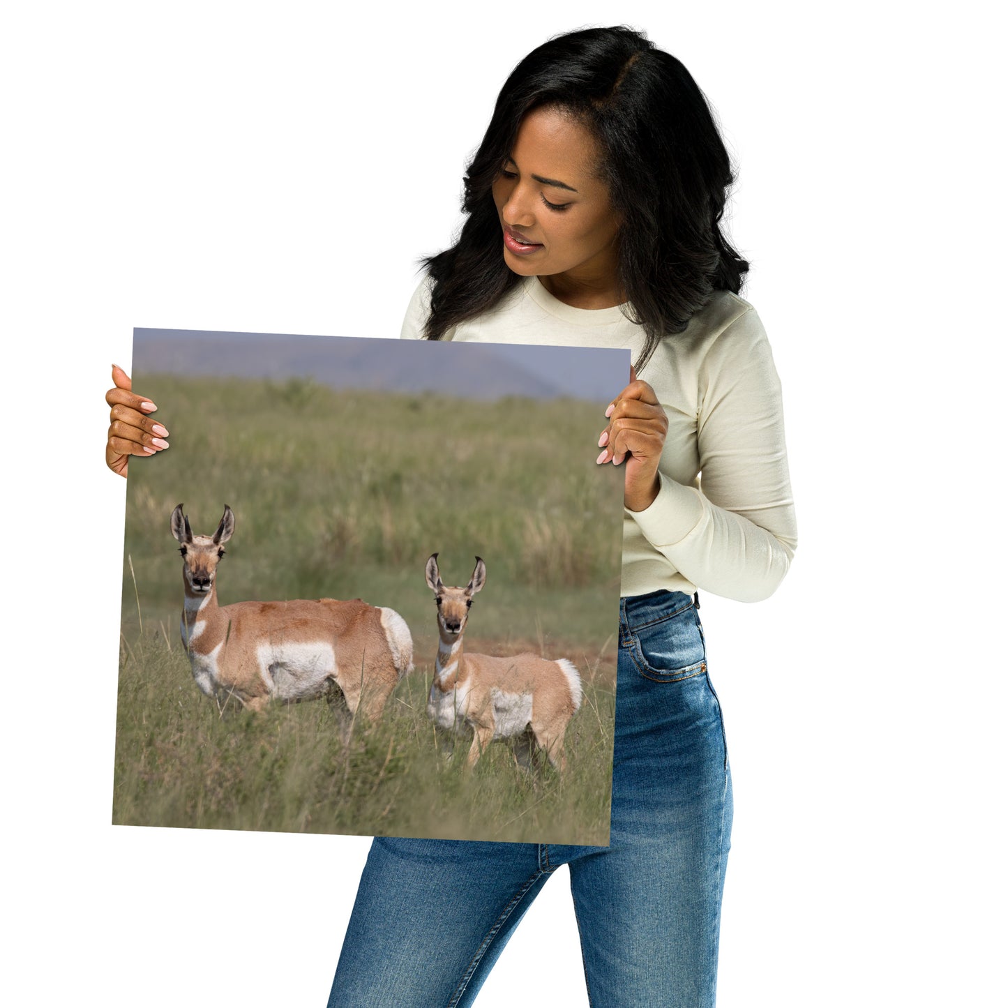 Pronghorn by Leslie Leathers Photography | Poster