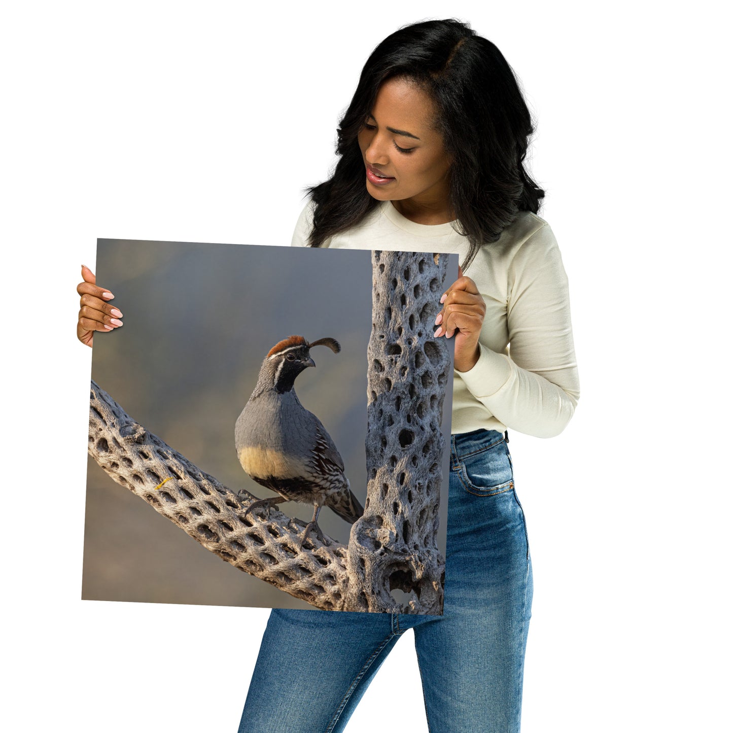 Quail on Cholla by Leslie Leathers Photography | Poster