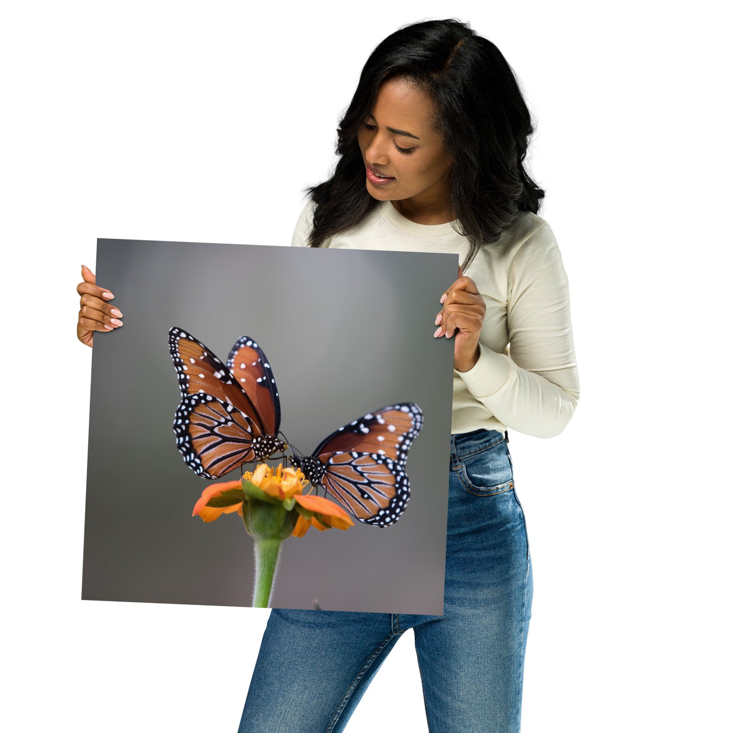 Queen Butterflies by Leslie Leathers Photography | Poster