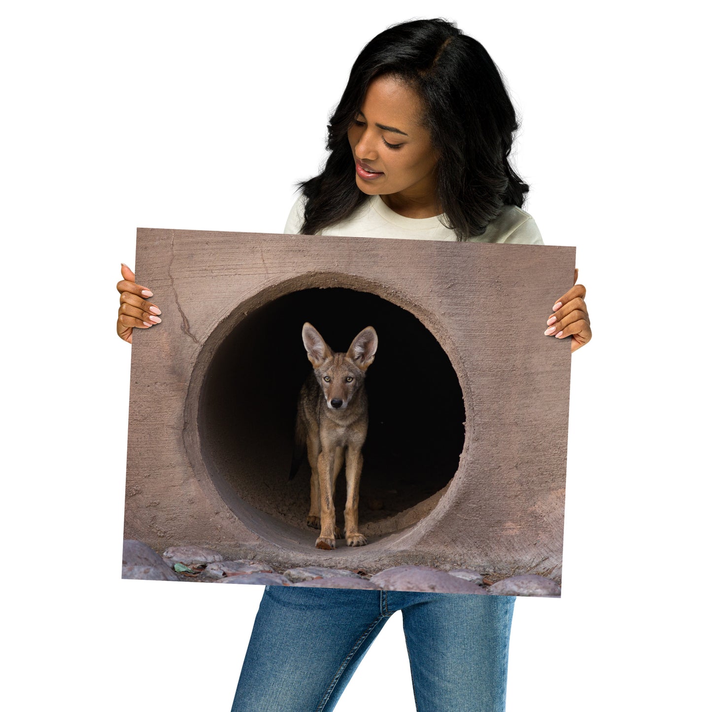 Juvenile Coyote by Leslie Leathers Photography | Poster