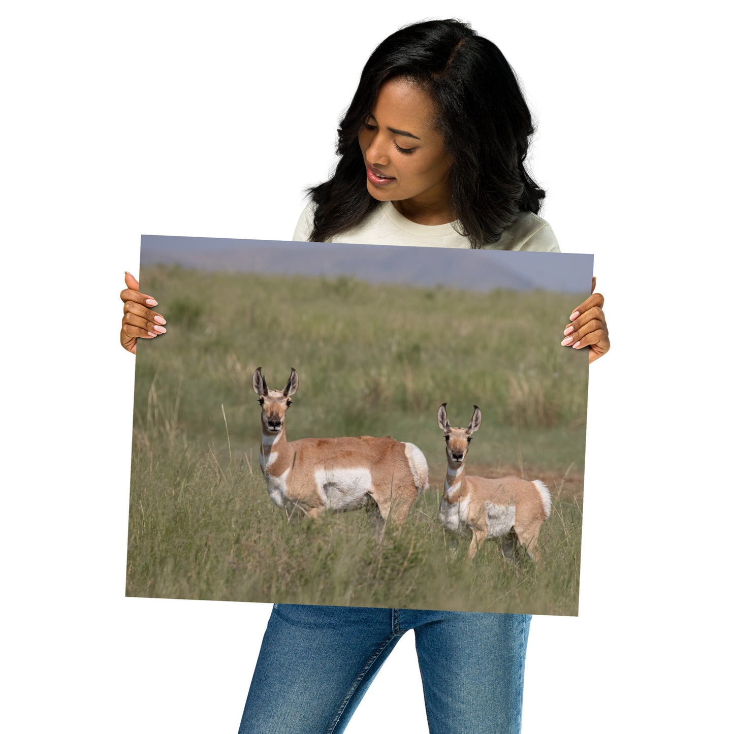 Pronghorn by Leslie Leathers Photography | Poster