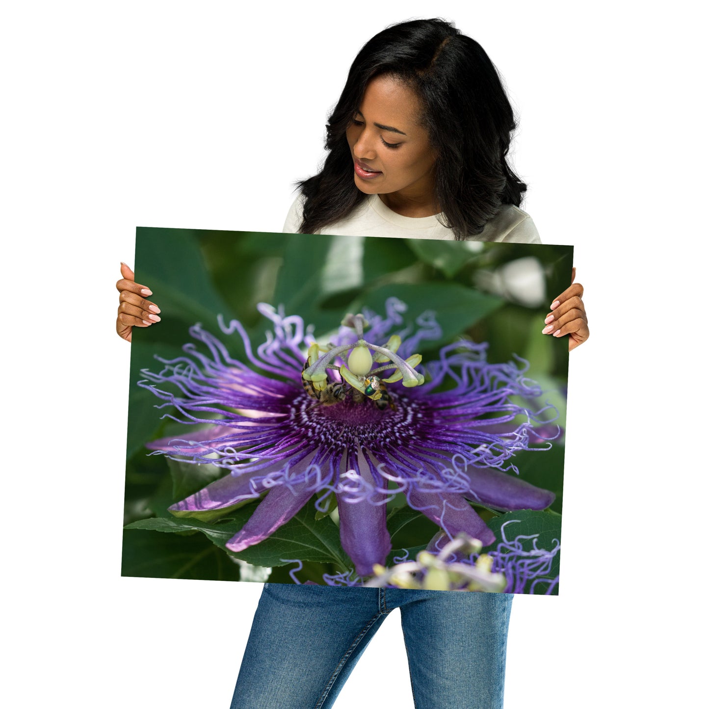 Purple Passion Flower by Leslie Leathers Photography |  Poster