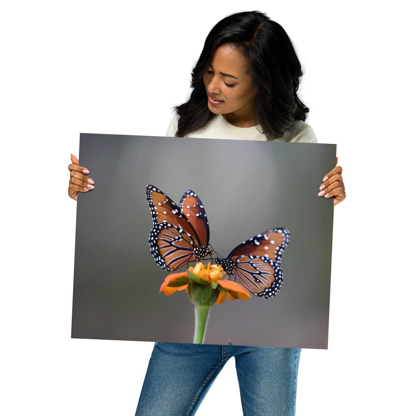 Queen Butterflies by Leslie Leathers Photography | Poster