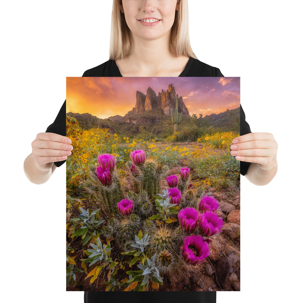 Sonoran Bloom by Sean Parker Photography | Poster