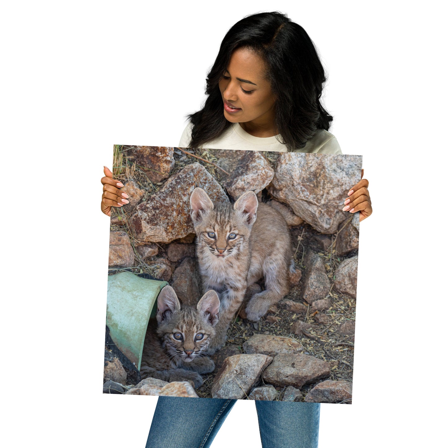 Baby Bobcats Duo by Leslie Leathers Photography | Poster