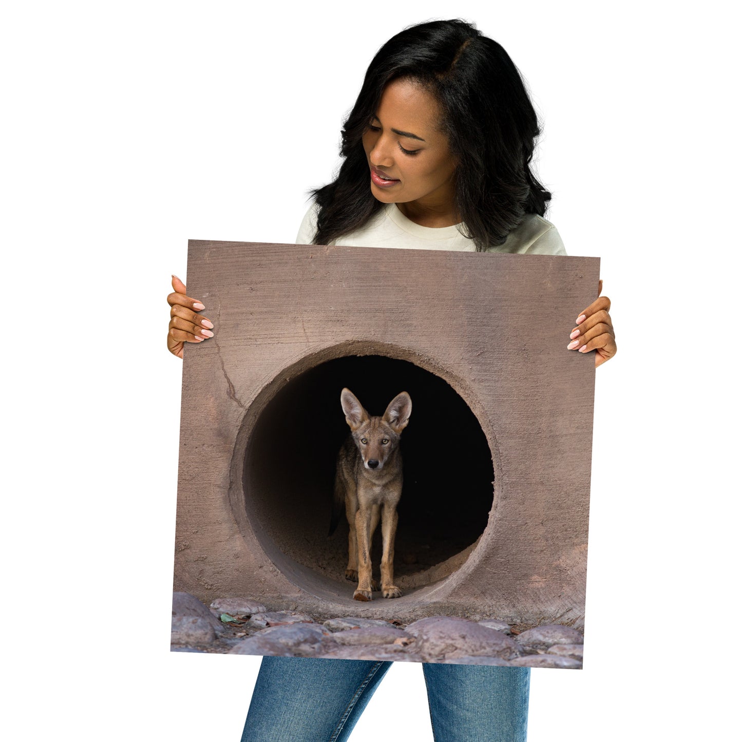 Juvenile Coyote by Leslie Leathers Photography | Poster