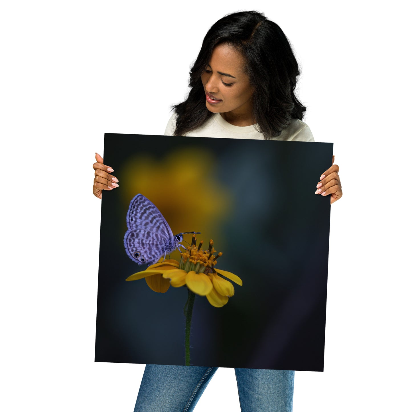 Marine Blue Butterfly by Leslie Leathers Photography | Poster