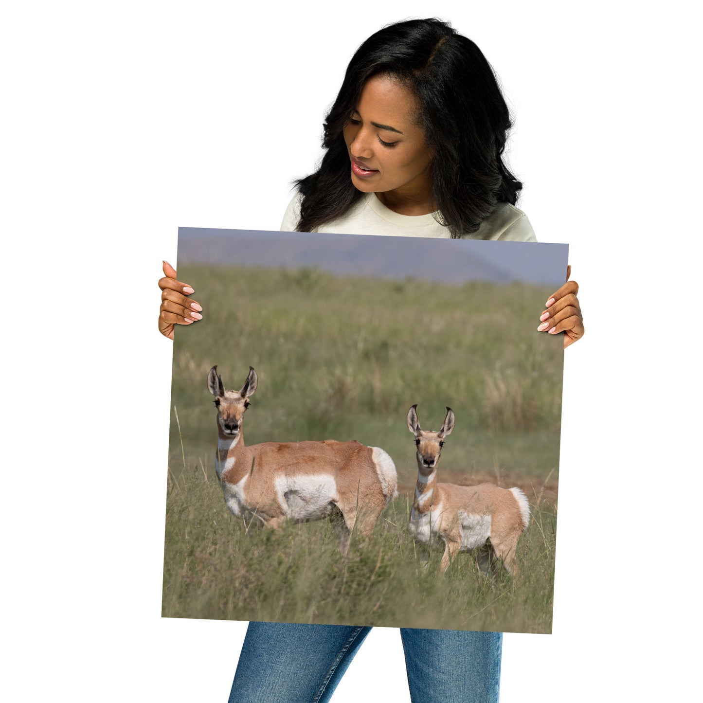 Pronghorn by Leslie Leathers Photography | Poster