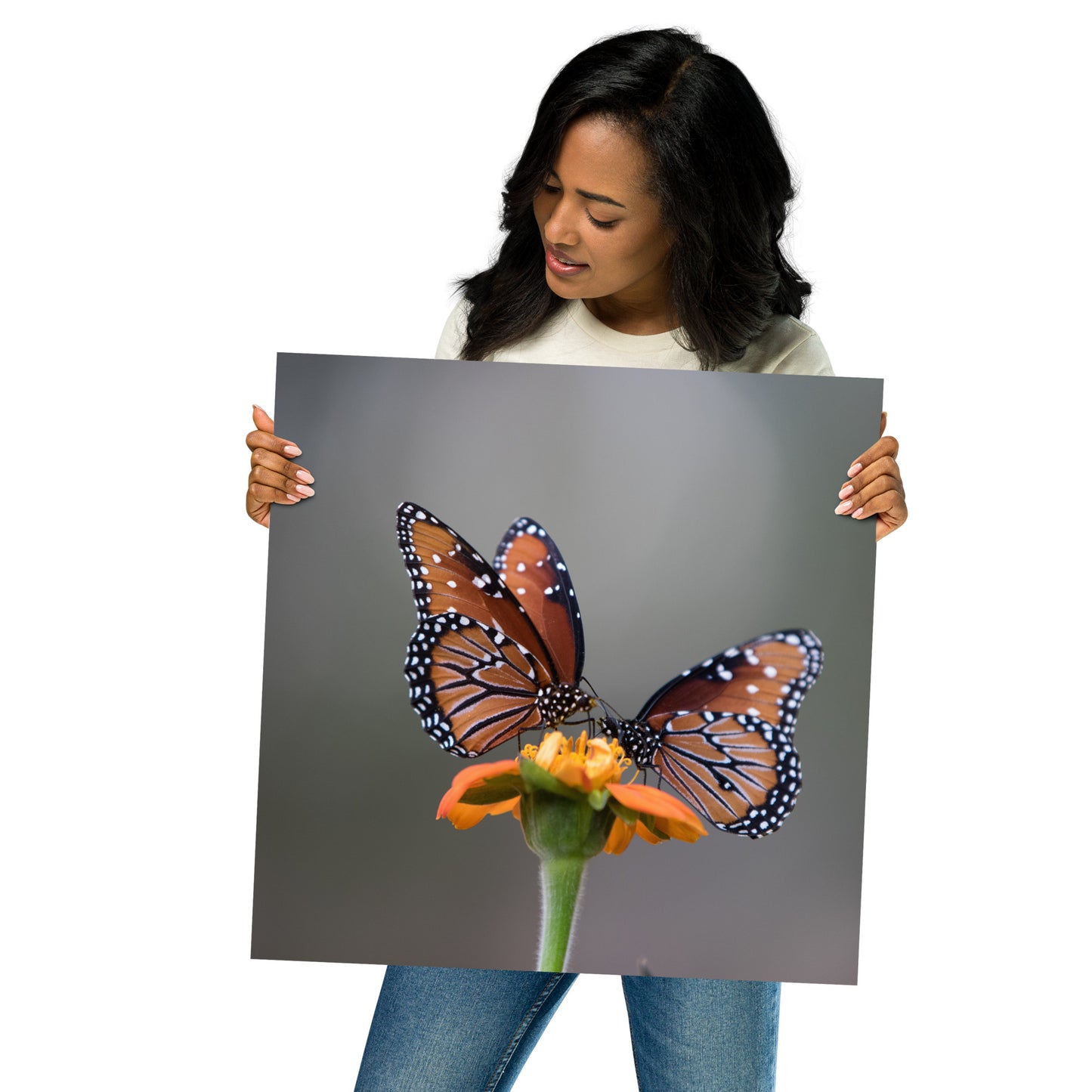 Queen Butterflies by Leslie Leathers Photography | Poster