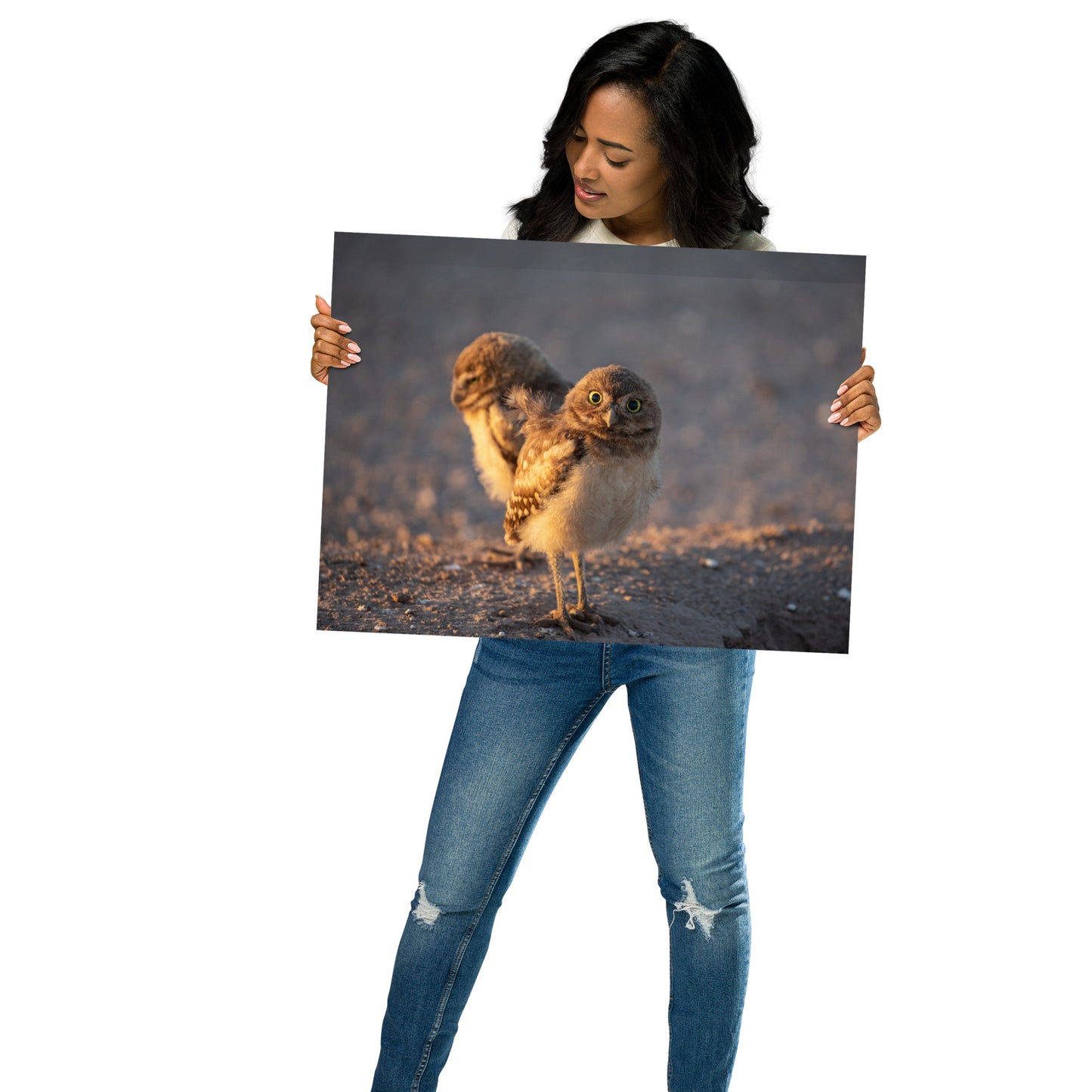 Burrowing Owls Duo by Leslie Leathers Photography l Poster