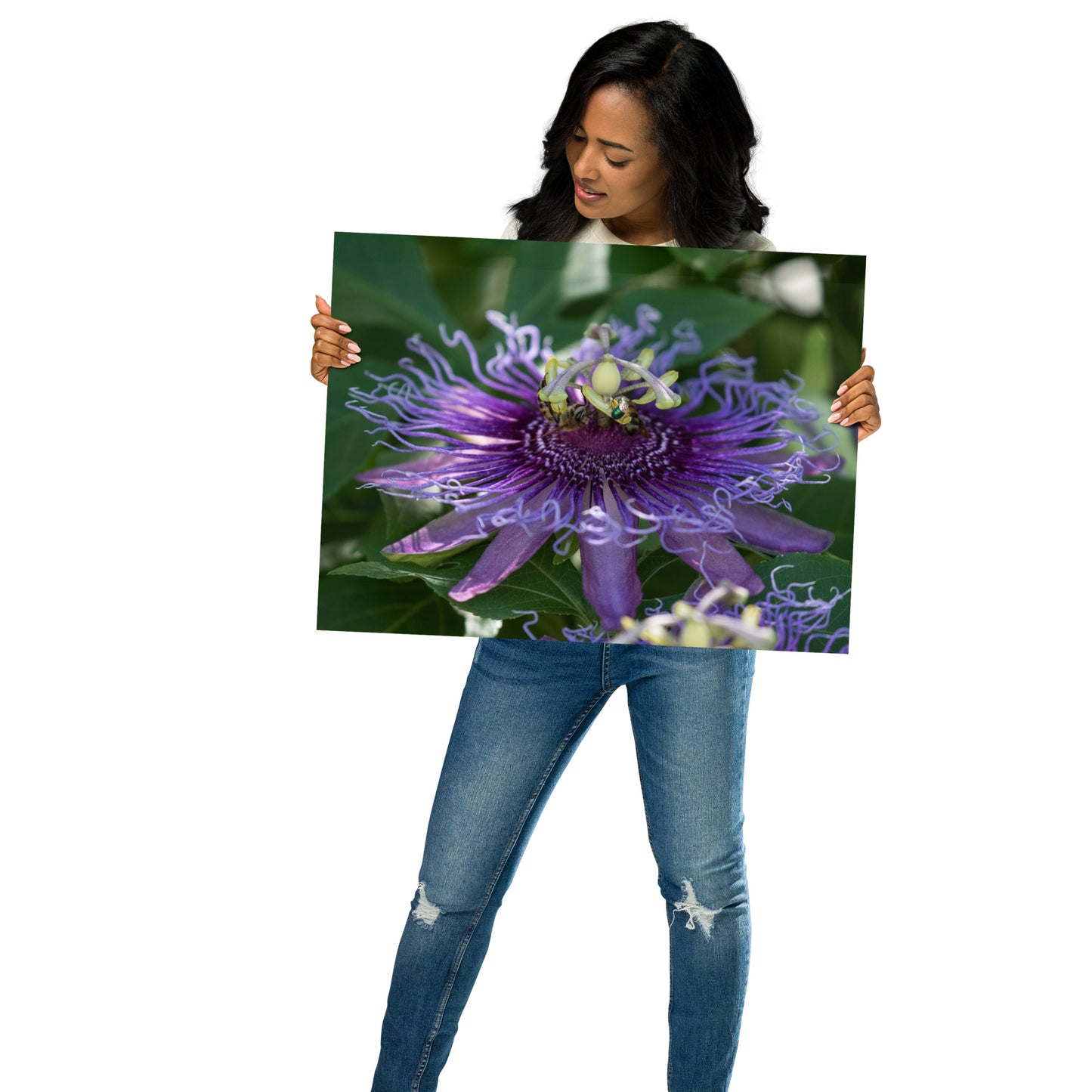 Purple Passion Flower by Leslie Leathers Photography |  Poster