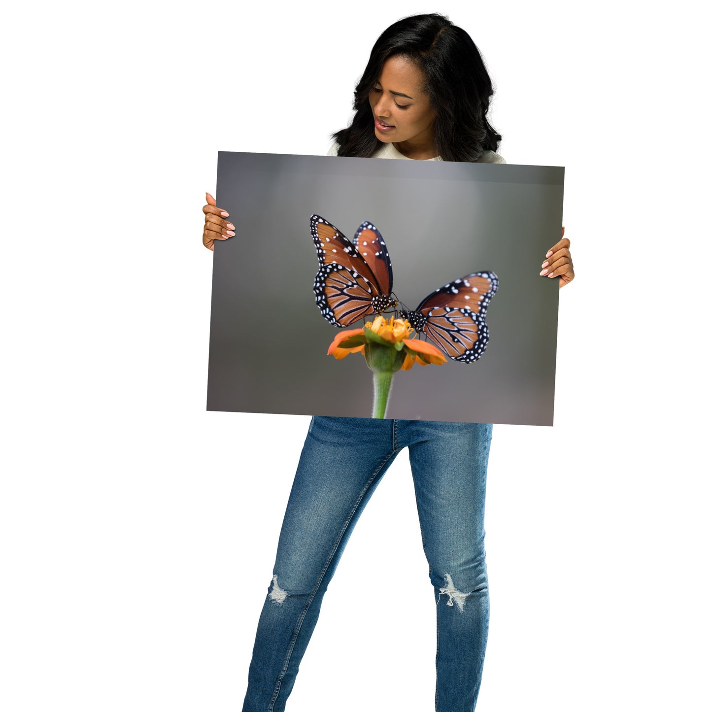 Queen Butterflies by Leslie Leathers Photography | Poster