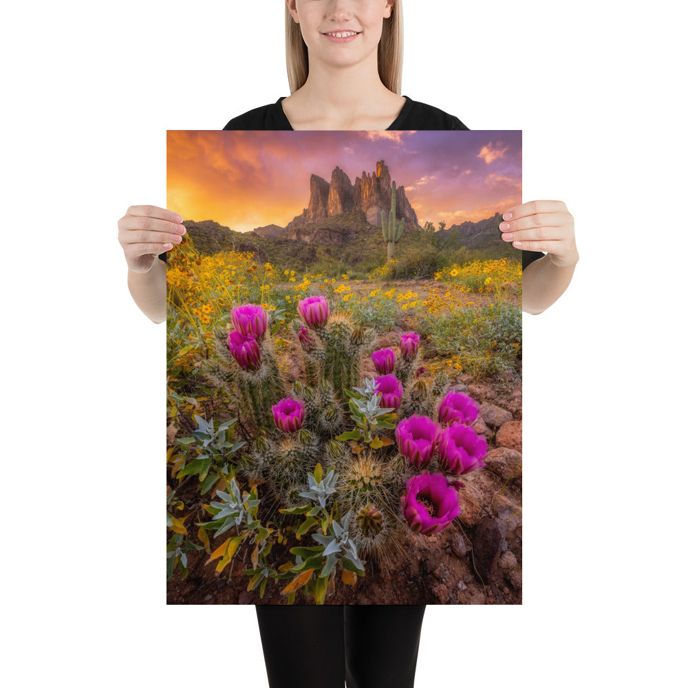 Sonoran Bloom by Sean Parker Photography | Poster