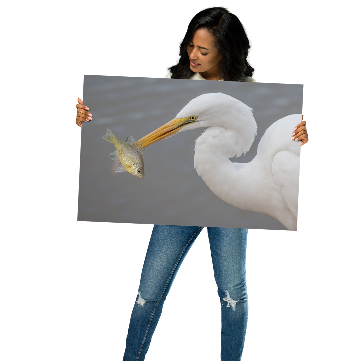 Great White Egret by Leslie Leathers Photography | Poster