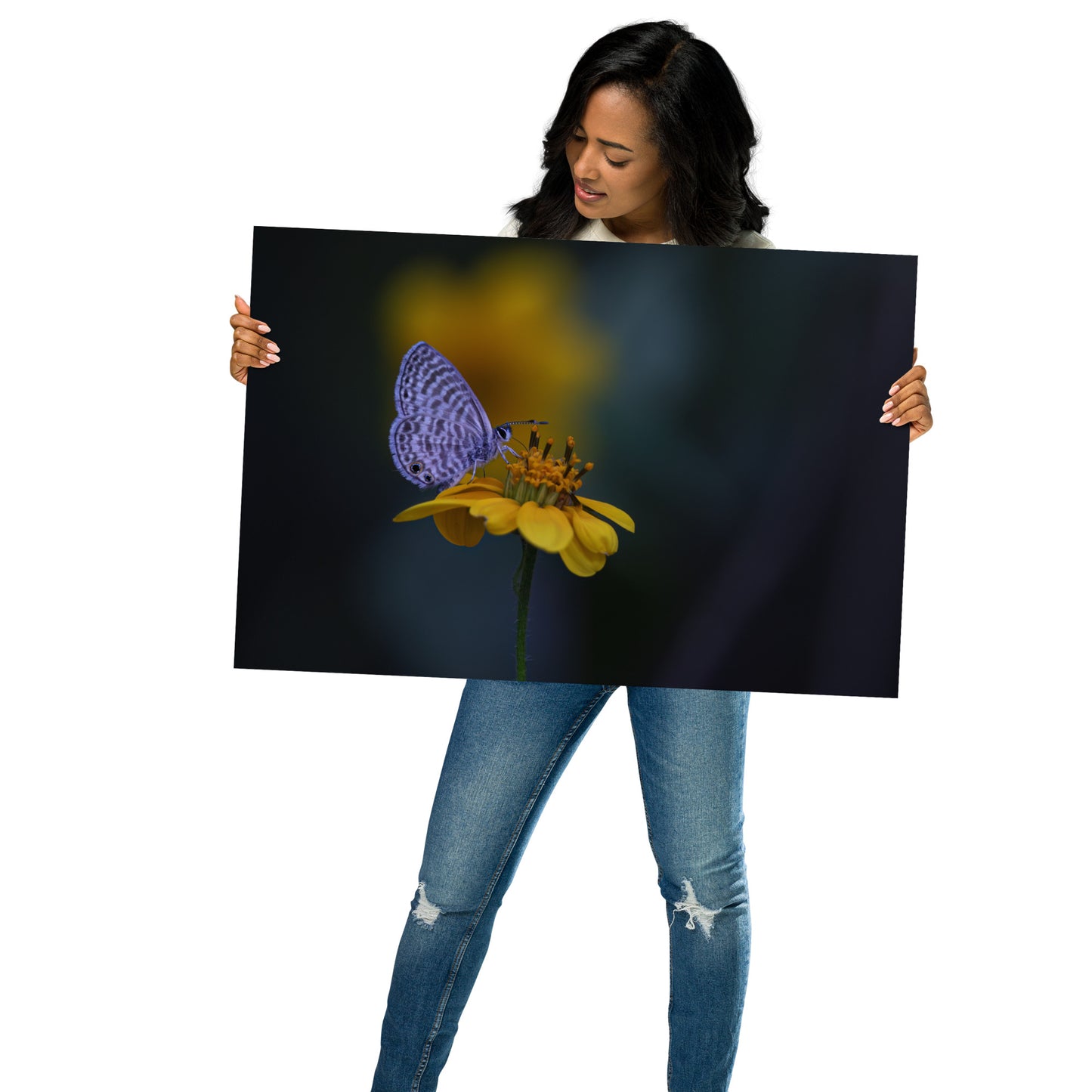 Marine Blue Butterfly by Leslie Leathers Photography | Poster