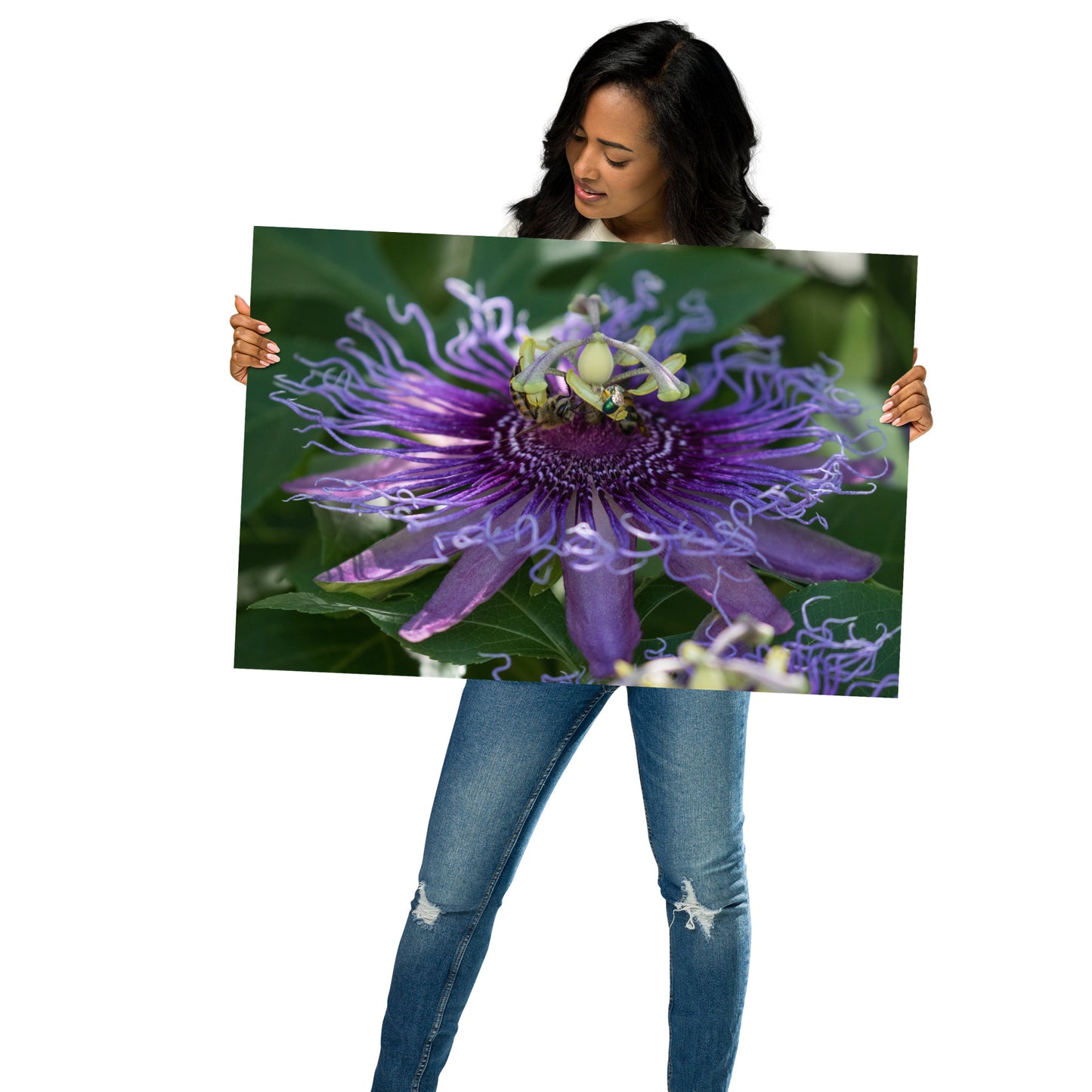 Purple Passion Flower by Leslie Leathers Photography |  Poster