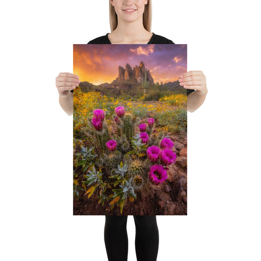 Sonoran Bloom by Sean Parker Photography | Poster