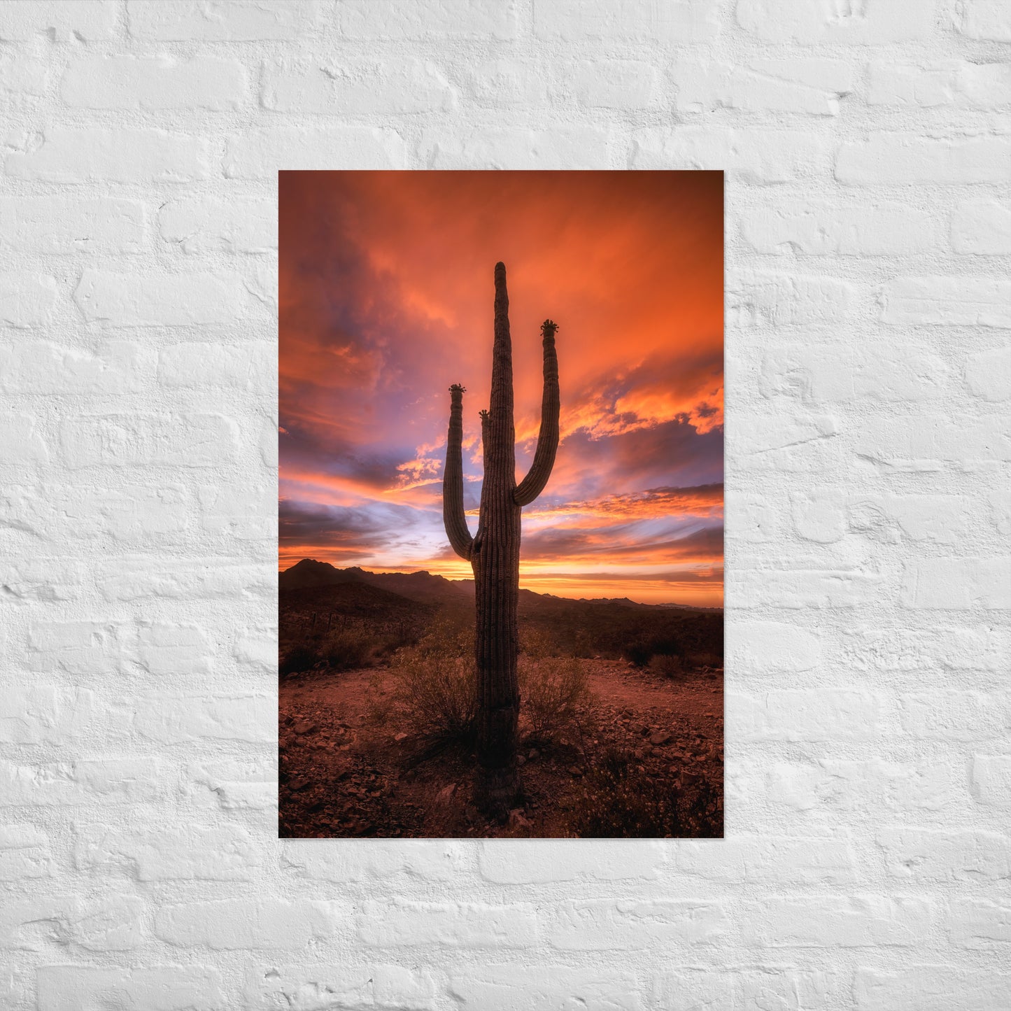 Saguaro Sunset by Sean Parker Photography | Poster