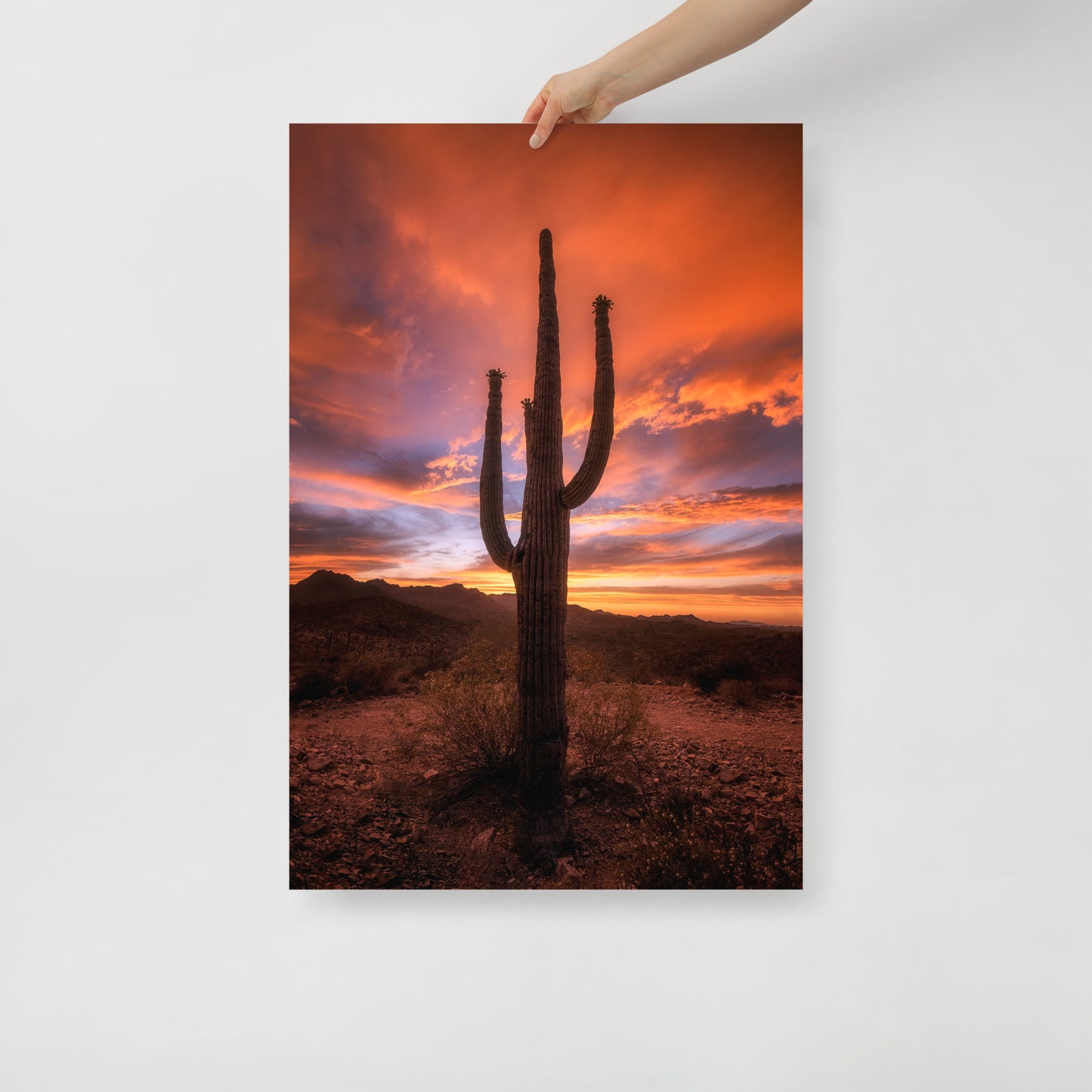 Saguaro Sunset by Sean Parker Photography | Poster