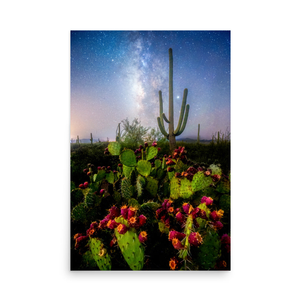 Milkyway Prickly Pear by Sean Parker Photography | Poster