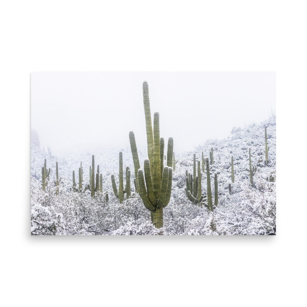 Saguaro Snowfall by Sean Parker Photography | Poster