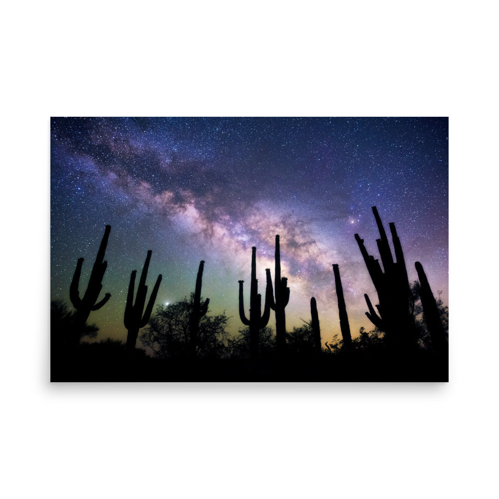 Saguaro Starlight by Sean Parker Photography | Poster