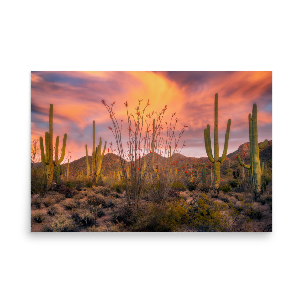 Tucson Mountain Park Sunset by Sean Parker Photography | Poster