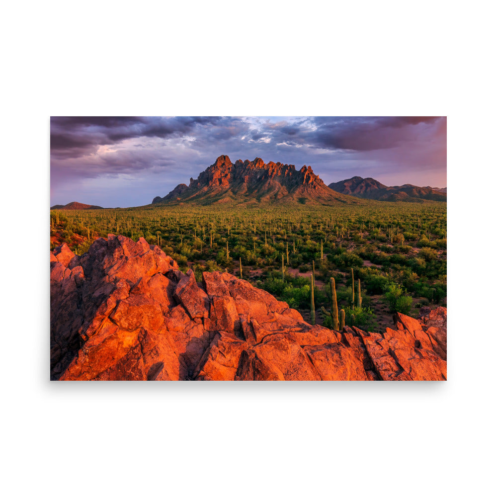 Ironwood National Monument by Sean Parker Photography | Poster