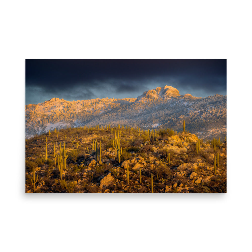 Rincon Mountain Snow by Sean Parker Photography | Poster