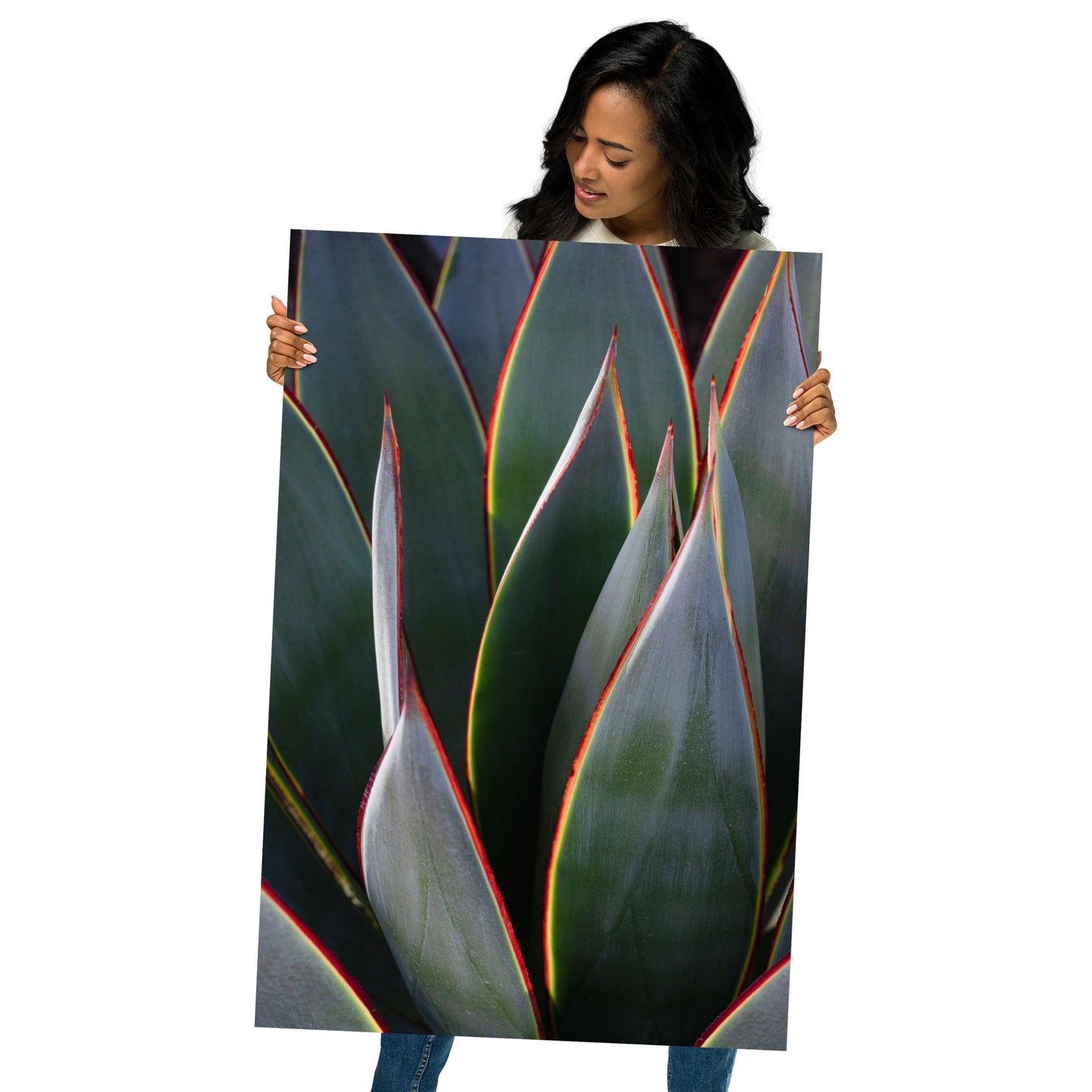 Agave Leslie Leathers Photography | Poster