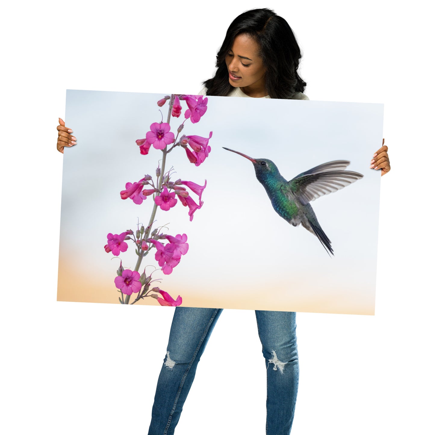 Broad-Billed Hummingbird by Leslie Leathers Photography | Poster