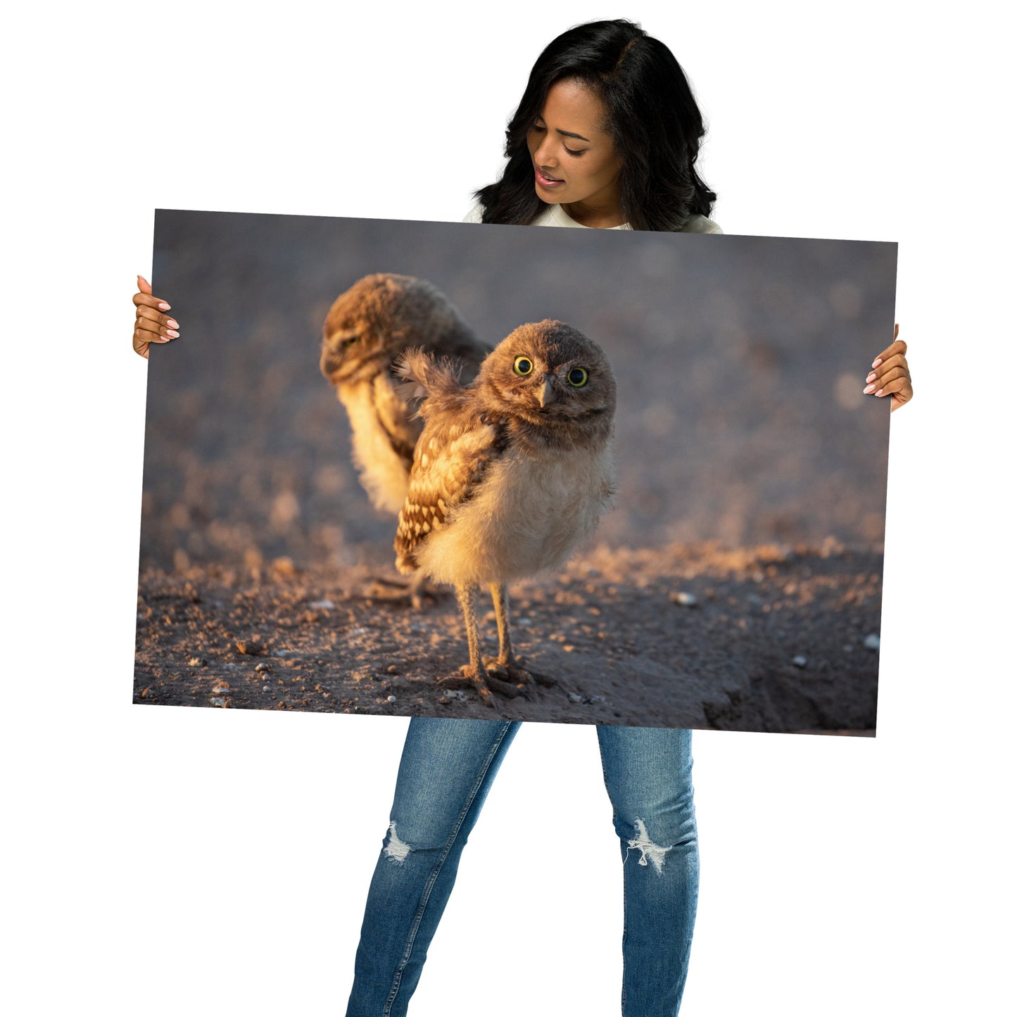 Burrowing Owls Duo by Leslie Leathers Photography l Poster