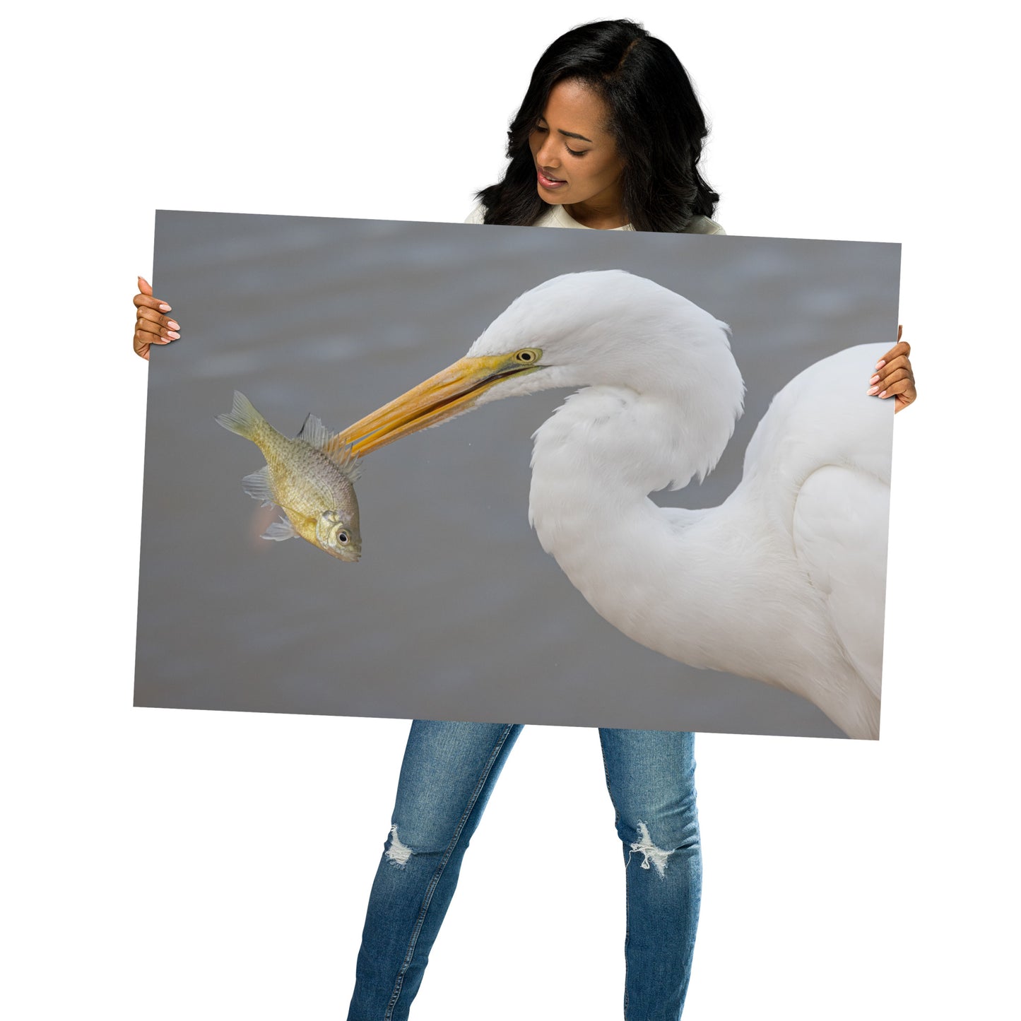 Great White Egret by Leslie Leathers Photography | Poster