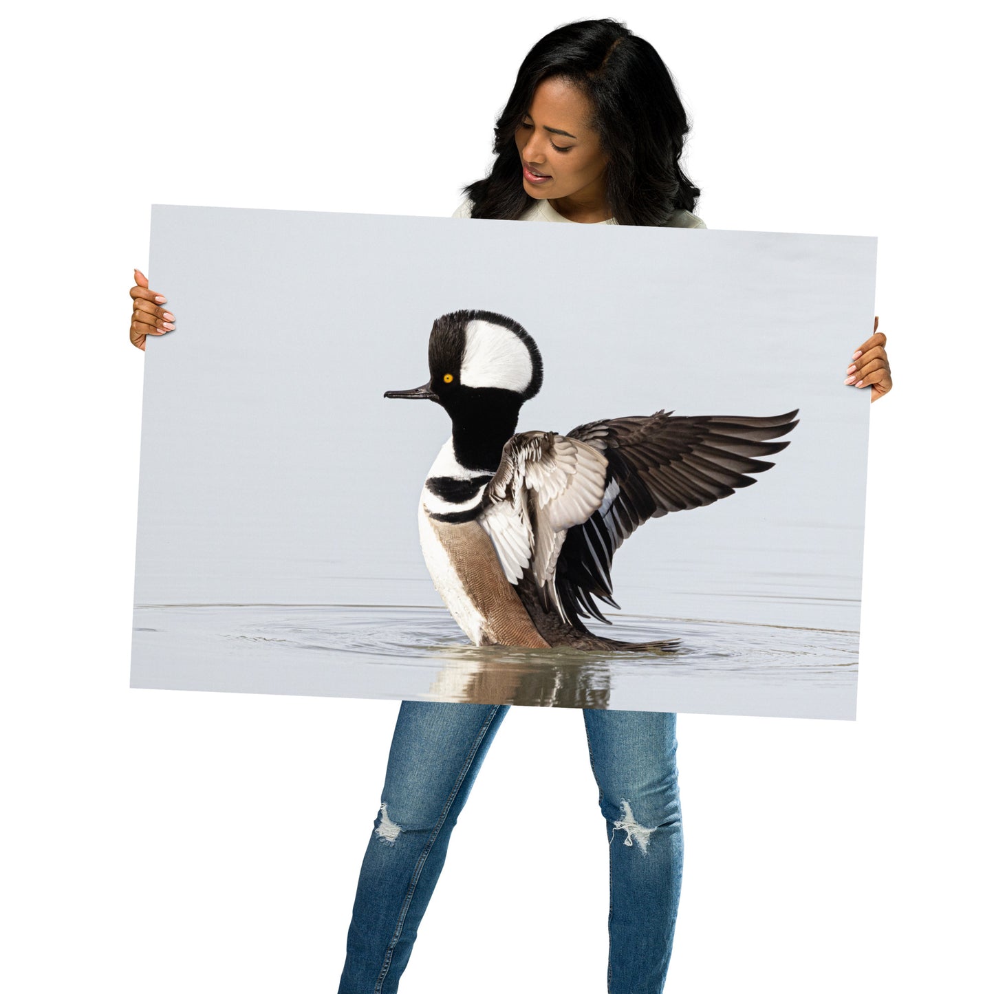 Hooded Merganser by Leslie Leathers Photography | Poster