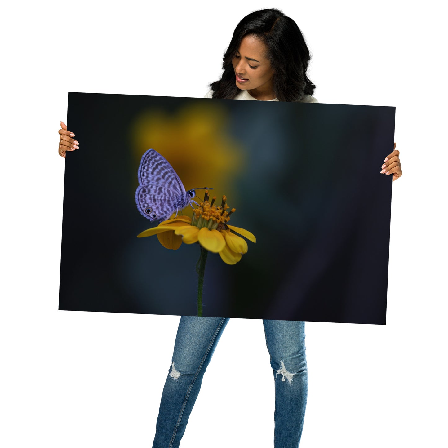 Marine Blue Butterfly by Leslie Leathers Photography | Poster