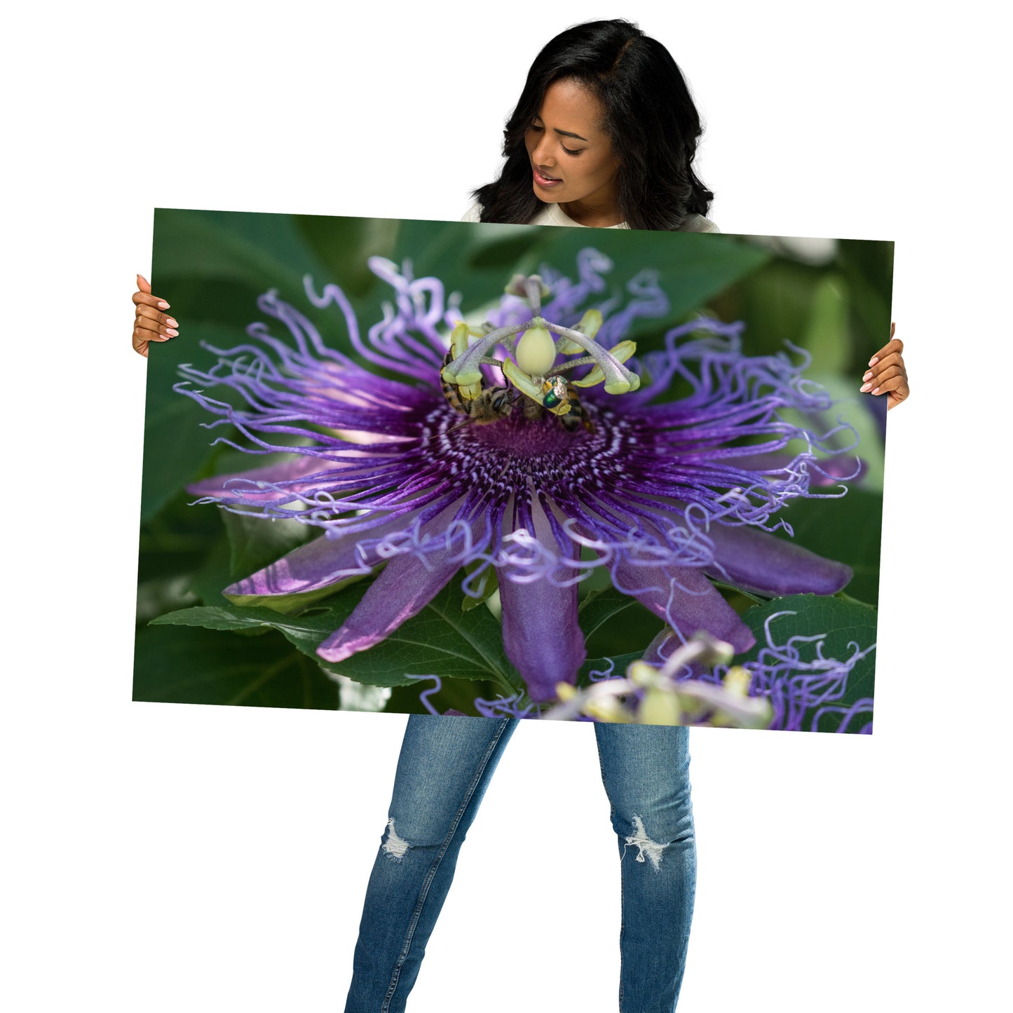 Purple Passion Flower by Leslie Leathers Photography |  Poster