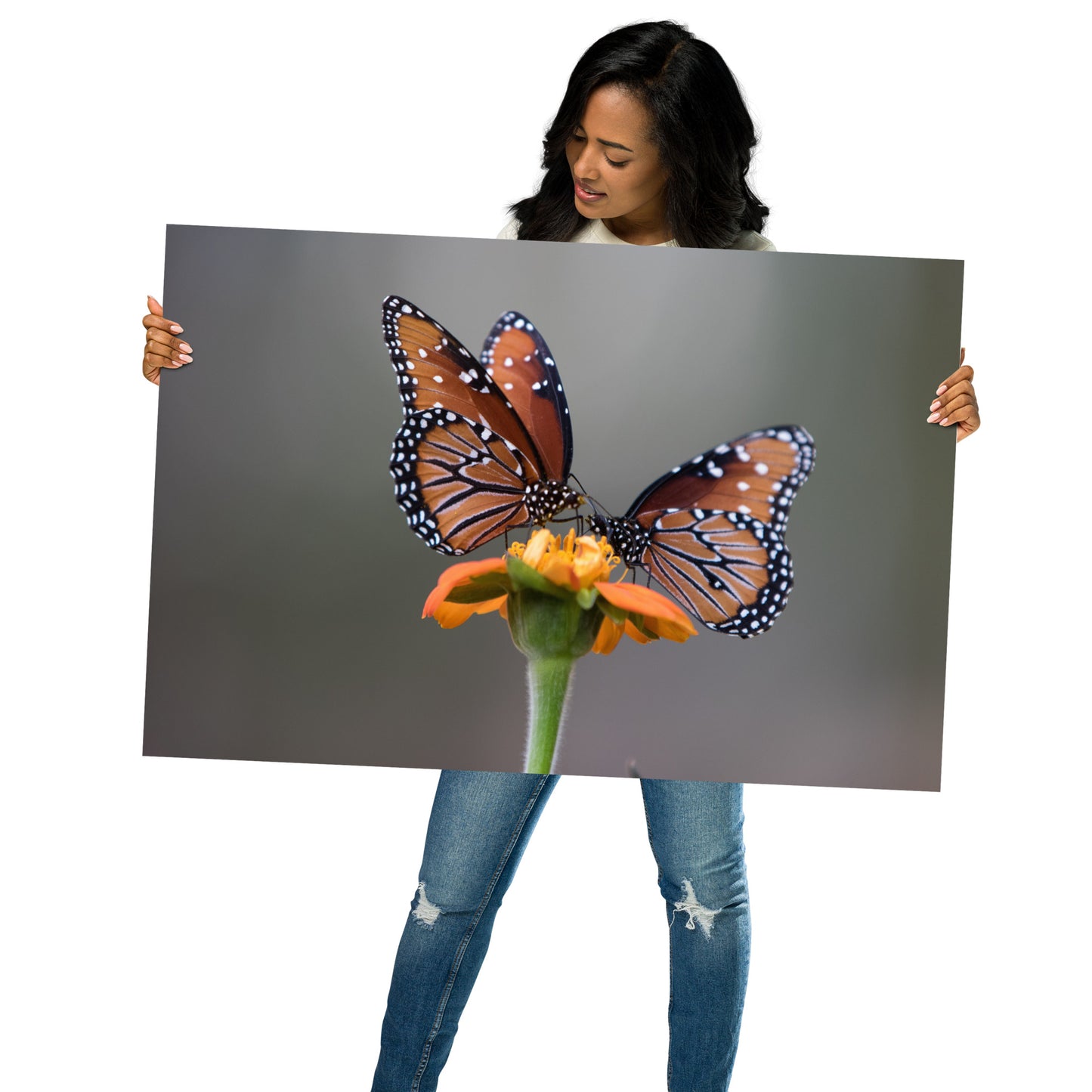 Queen Butterflies by Leslie Leathers Photography | Poster