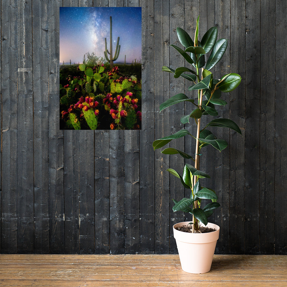 Milkyway Prickly Pear by Sean Parker Photography | Poster