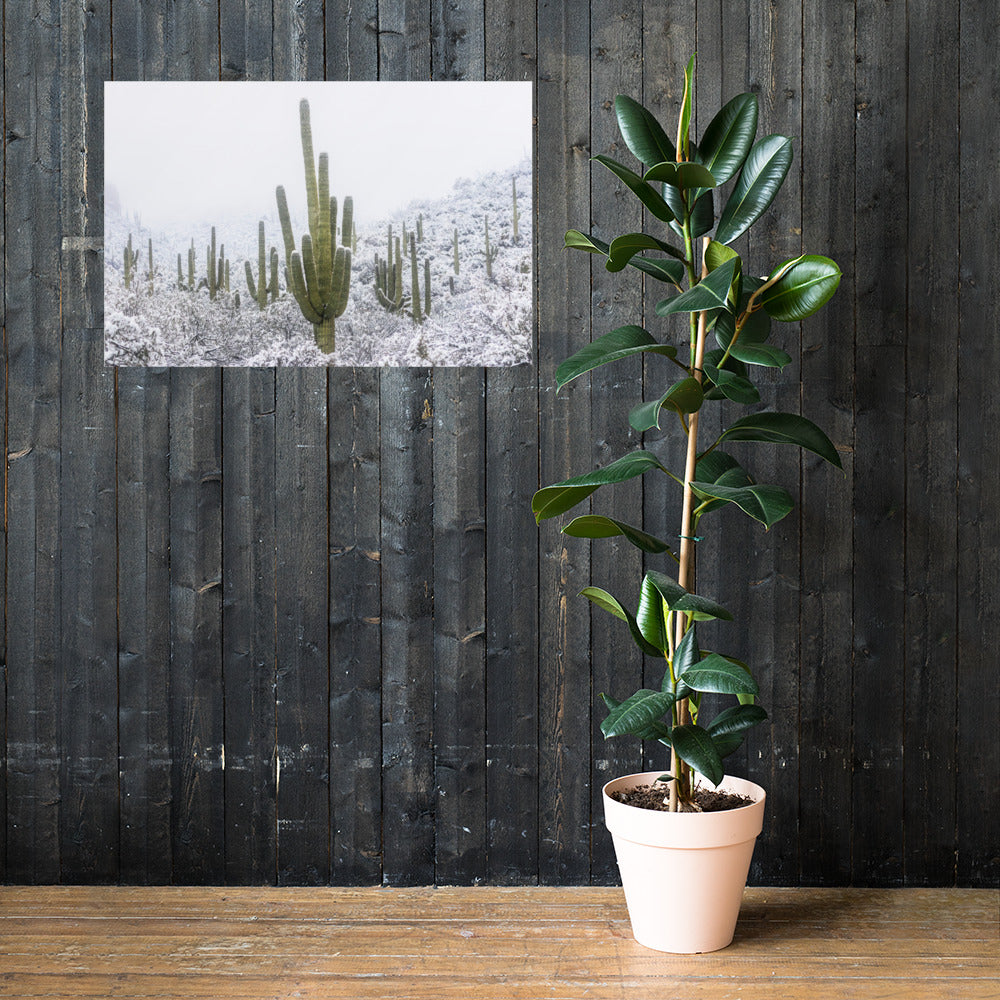 Saguaro Snowfall by Sean Parker Photography | Poster